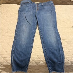 Madewell Straight Leg Denim Jeans in Classic Blue